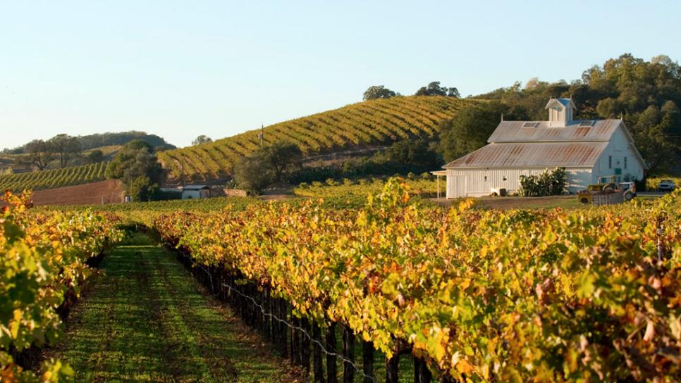 7 Best Online Wine Sites for Labor Day&nbsp;Sales