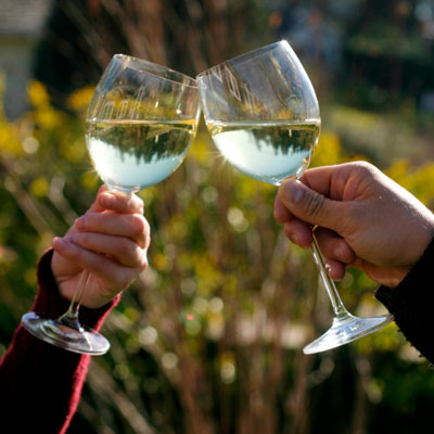 Absolutely, The Best Under $15 White Wine&nbsp;Today