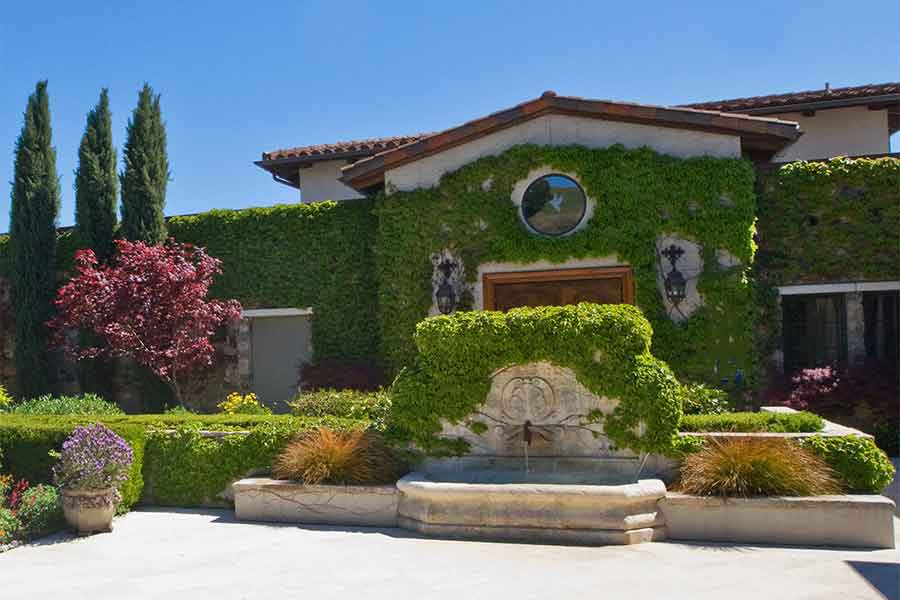 Great Wine Deals to Kiss 2020&nbsp;Goodbye