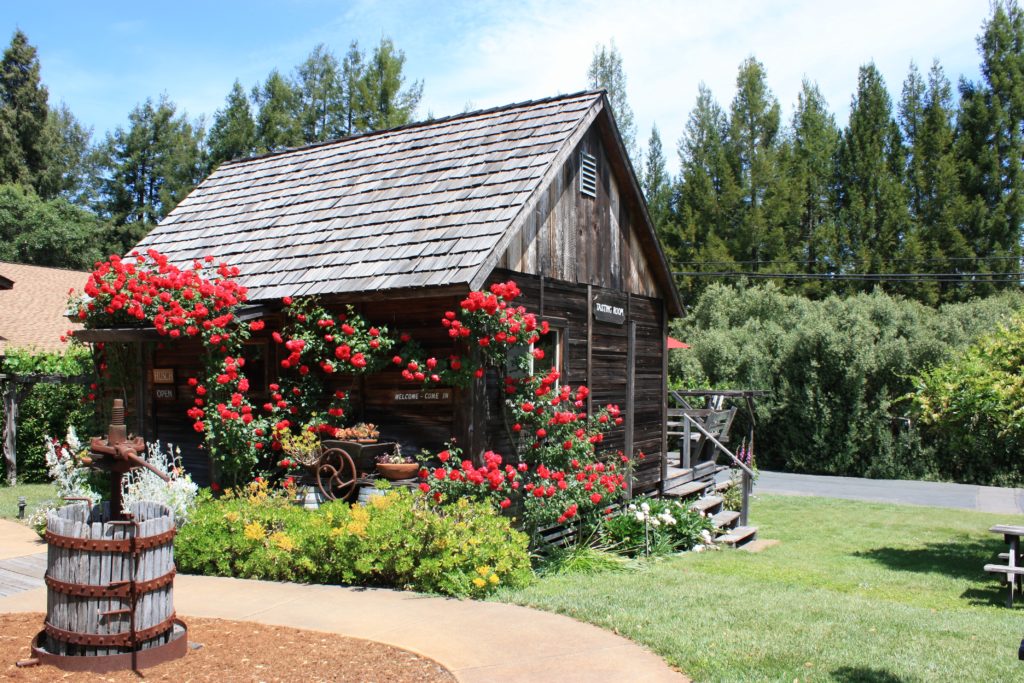 SIP Wine: More Steals &&nbsp;Deals