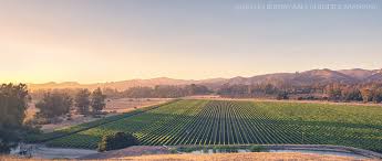 Two Correctly Curated Pinot&nbsp;Noirs