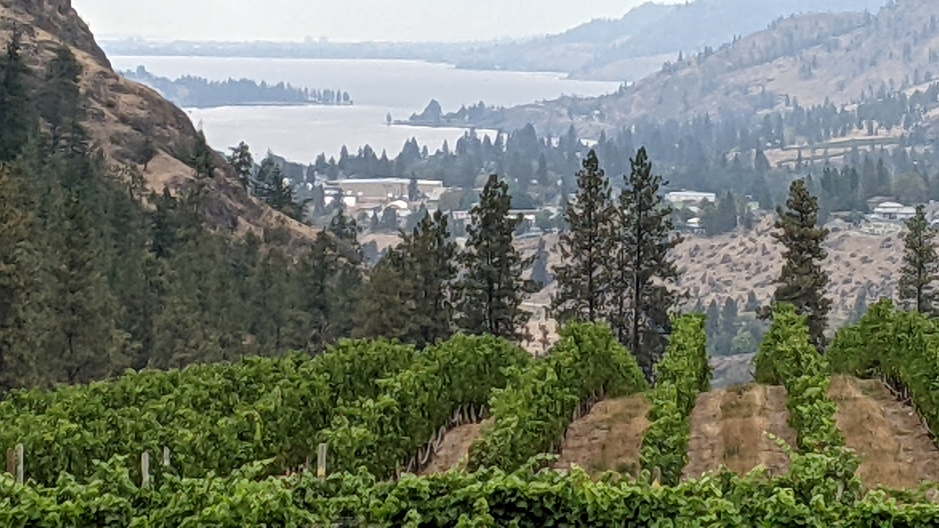 PXL_20210910_193141280